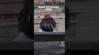 Keyboard Dog 2 CREDITS TO SWAGDOG #gameplay #mobilegame #roblox #robloxgameplay #gaming