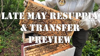 Late May Resupply & Transfer Preview | #colesfarmnc #jacksonvillenc #beekeeping