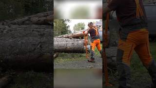 Lifting Large Logs with the Forest Master FM3-LP #shorts #forestmaster #woodworking #treefelling