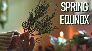 Things You Can do to Celebrate the Spring Equinox