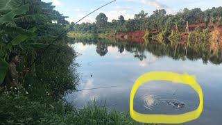 Bãi câu thiên nhiên quá tuyệt vời | The most beautiful fishing place | Bazan Food