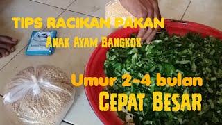 Cara Meracik Pakan Anak ayam umur 2-4 bulan Tetap Sehat dan Cepat Besar