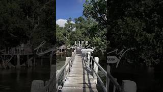 How can you ever be bored on a boardwalk like this?