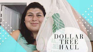 Dollar Tree Haul