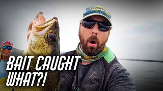 This bait caught WHAT?!