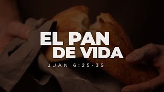 El Pan de Vida / Juan 6:25-35 / Pastor Elbin Castillo