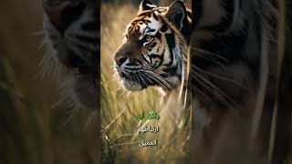 حقائق مرعبة حول النمور #tiger