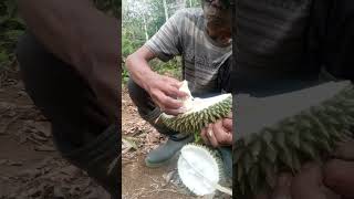 DUREN SISO BERUK