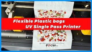 How Acaleph-891S UV Single Pass Printer prints on flexible plastic bags