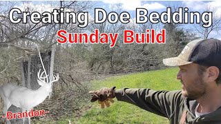 Creating Whitetail Doe Bedding on the Kentucky Farm