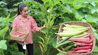 3 colors of okra in my vegetable garden / Yummy okra recipe / Cooking with Sreypov