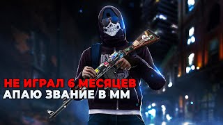 СТРИМ КСГО | НЕ ИГРАЛ 6 МЕСЯЦЕВ В CSGO | КАЛИБРОВКА | БОЛЬ, НЕРВЫ, КИБЕРСПОРТ ► ПРЯМОЙ ЭФИР CSGO