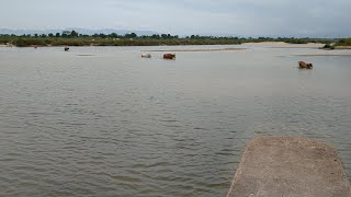 swarnamuki river view | స్వర్ణముఖి నది | klavakuru water project | fishing@VwithNature