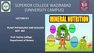 passive absorption lec 5