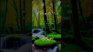 Surah Maryam urdu translation beautfull voice