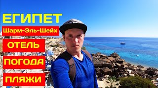 Египет - Шарм-Эль-Шейх зимой 2022 года! Какая погода, пляжи и отель Sharming Inn Hotel 4*