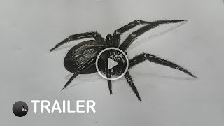 Hyperlapse 3D Realistic Illusion Spider Drawing |  How to Draw Simple realistic Drawing