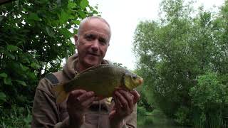 Sound Bites Episode One Bars of Gold Crucians and Tench #cruciancarp #tenchfishing #lakes