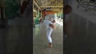 Karate Stationary-Moving Forward-Kata-Sparring