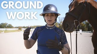 Back to Groundwork Basics Vlog | Turn on the Forehand, Rein Response on  Green Horse