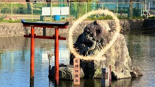 龍神緊急ライブ！※この映像を見かけたら今日必ず見ておいて下さい※願いが叶う不思議な力があるさ歳徳神社オンライン遠隔参拝