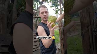 Guyabano picking in the Province Philippines! #shorts #fruit