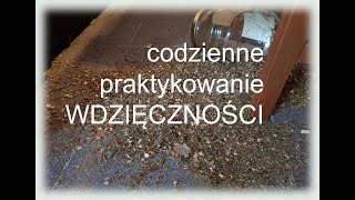 codzienne praktykowanie WDZIĘCZNOŚCI - naprawdę warto !