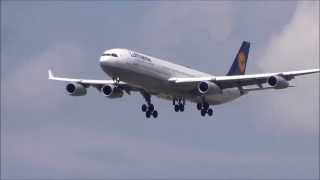 Lufthansa A340-300s Landing at Toronto Pearson Int'l (CYYZ)