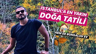 İSTANBUL’A YAKIN DOĞA TATİLİ | BUNGALOV EV