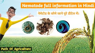 Nematode Control In Hindi | निमेटोड को रोकने का उपाय | Root Knot Nematodes|Nematode Attack & Control