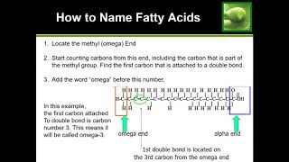 Learn How to Name Fatty Acids (Omega 3, Omega 6, etc)