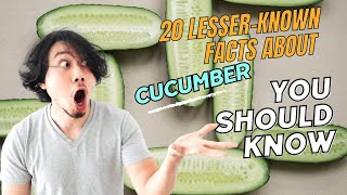 20 Lesser Known Facts About Cucumber You Should Know #cucumber #facts #health #information