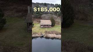 log cabin and pond