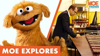 Moe Explores Percussion | Kids Discover Musical Instruments | #MoeExplores