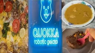 Vlog of the day| Weekend Vibes| Biryani with family| Quokka Robotic Ice cream|Chicken Dal Roti |2022