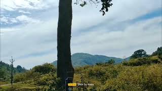 My Beautiful Araku Valley Trip / Bongulo chicken