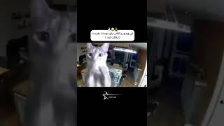 بفرست براشون ببینم چی میکنی😂🤣 اگه بلاکت کرد داخل کامنت ها بگو🤣👇 #comdey #comdyshorts #comedyvideo