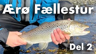 Ærø Føllestur 🎣 Del 2 🐟  Havørred Fiskeri