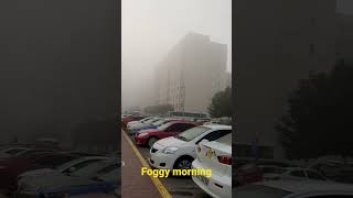 FOGGY MORNING AT AL KHAIL PARK