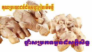 គុណប្រយោជន៏របស់មើមខ្ញី//​ថ្នាំសម្រកទម្ងន់ដ៏ពូកែសាកសិទ្ធិ -Sieng Sokea Cooking