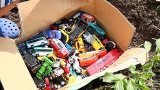 Dig a box full of cars toys from the ground siku and tomica kids cars