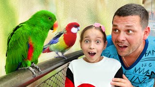 Fun stories for children about animals in Park Zoo