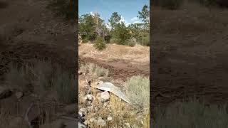 In Moab Utah at  Pack Creek Flash Flood on July 31, 2022