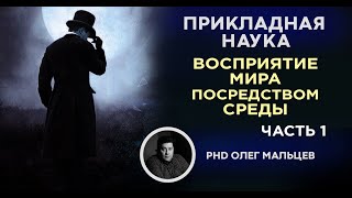 Восприятие мира посредством среды, что дает? Часть 1 | Мальцев Олег Викторович