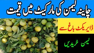 Lemon wholsales prices | لیمن کے باغ سے خود لیمن خریدیں | cheapest rate| Murad Ali Rehmani.