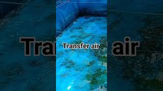 Transfer air disaat krisis