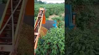 FAZENDA DE CAFÉ EM UNAÍ MG Informaçoes com Almir Rosa Garcia 51 99742-0195