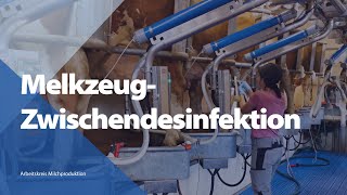 Melkzeug-Zwischendesinfektion