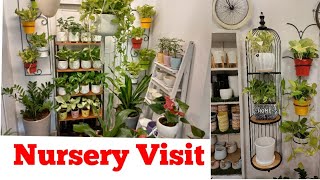 Beautiful and Creative Indoor Garden🌿 Plant Nursery in India|Hanging plants|Garden ideas|salu Koshy