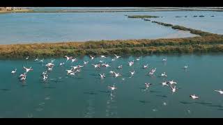 Salina di Comacchio